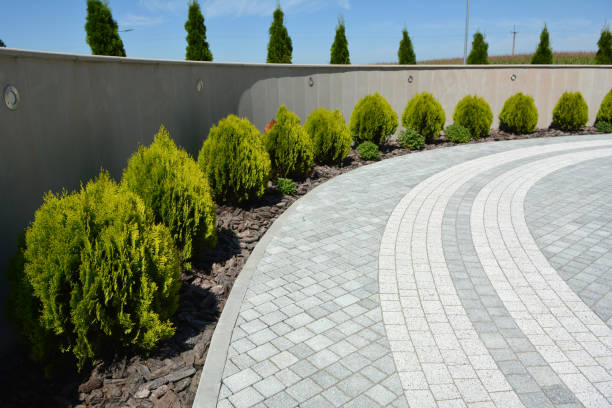 Best Decorative Driveway Pavers  in Mountain Home, AR
